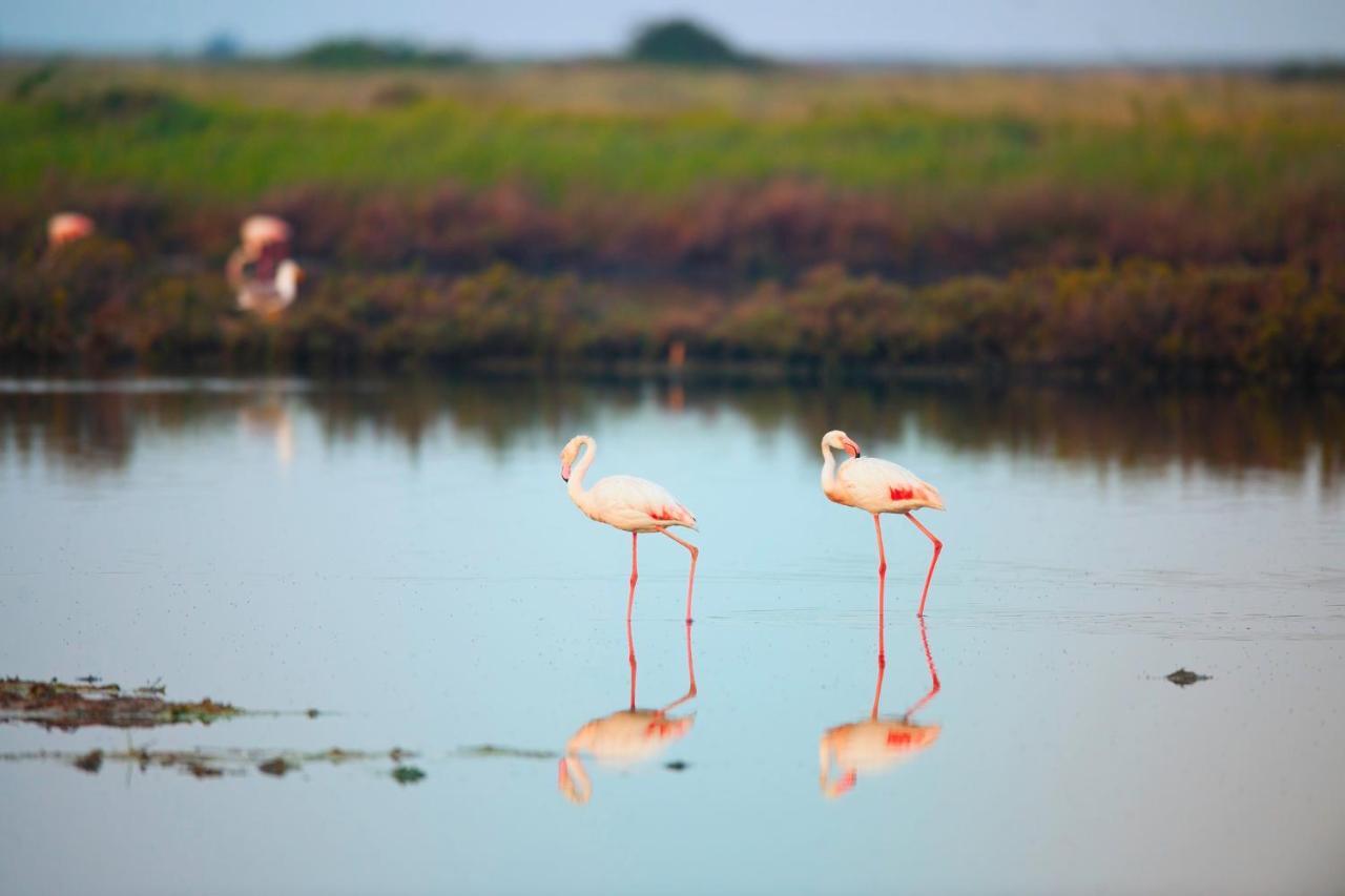Fiordo Topazio Albarella Island Kültér fotó